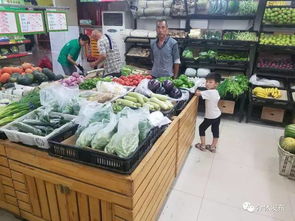 介休 某村日销售蔬菜15000斤,厉害 怎么卖的