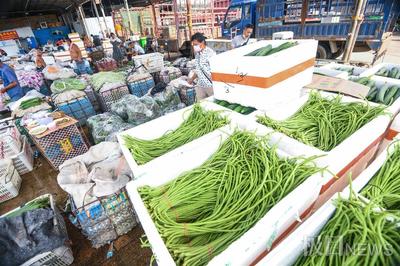 华中最大农产品市场每天近4000吨蔬菜保供应